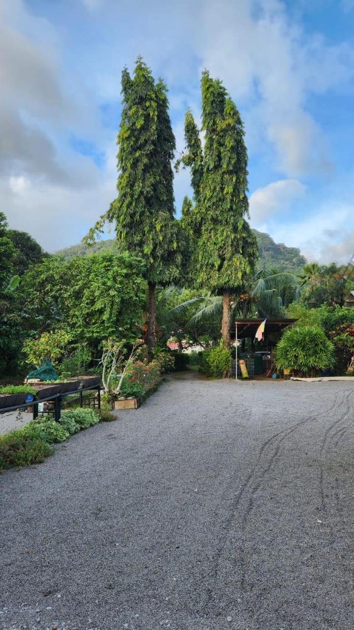 Green Self-Catering Apartment Beau Vallon (Mahe) Exterior foto